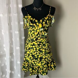 Parker Erica‎ lemon print summer garden party spaghetti strap mini dress size 2